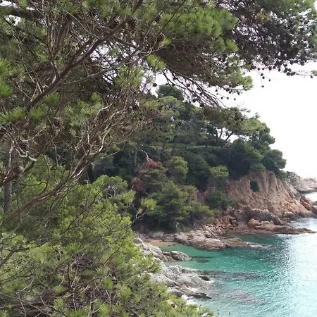 Lejlighed Cala Salions *