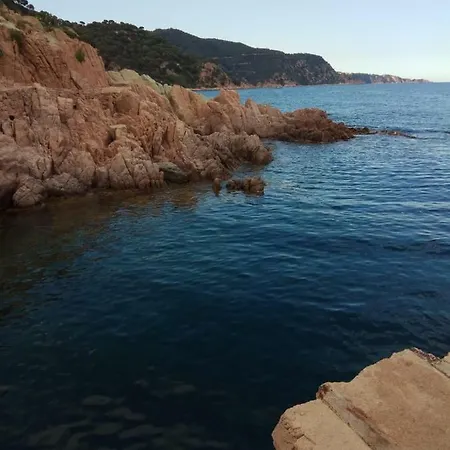 Lejlighed Cala Salions
