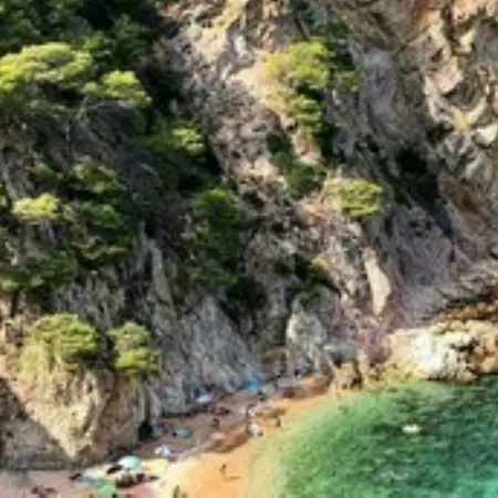 Lejlighed Cala Salions *