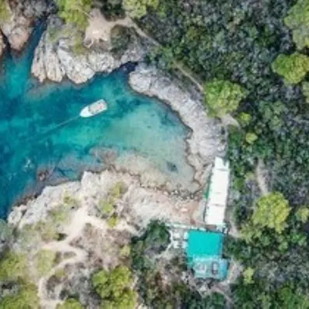 Lejlighed Cala Salions