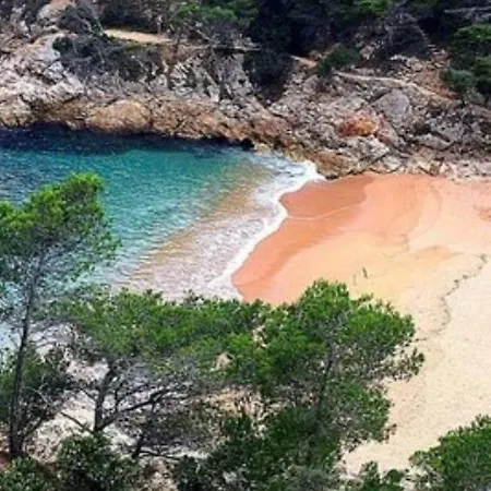 Cala Salions *